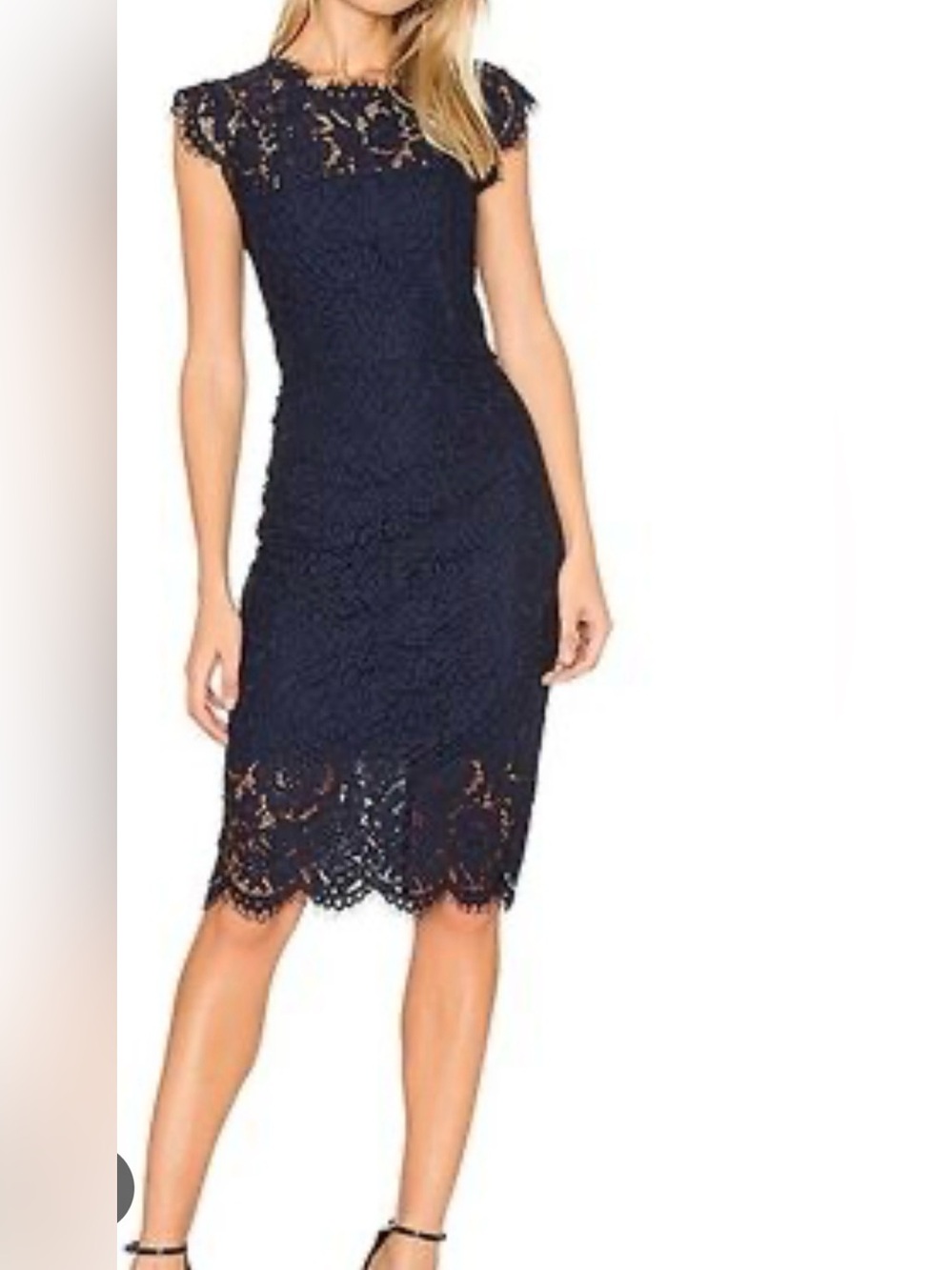 Rachel Zoe Suzette lace sheath knee length dress navy blue size 6